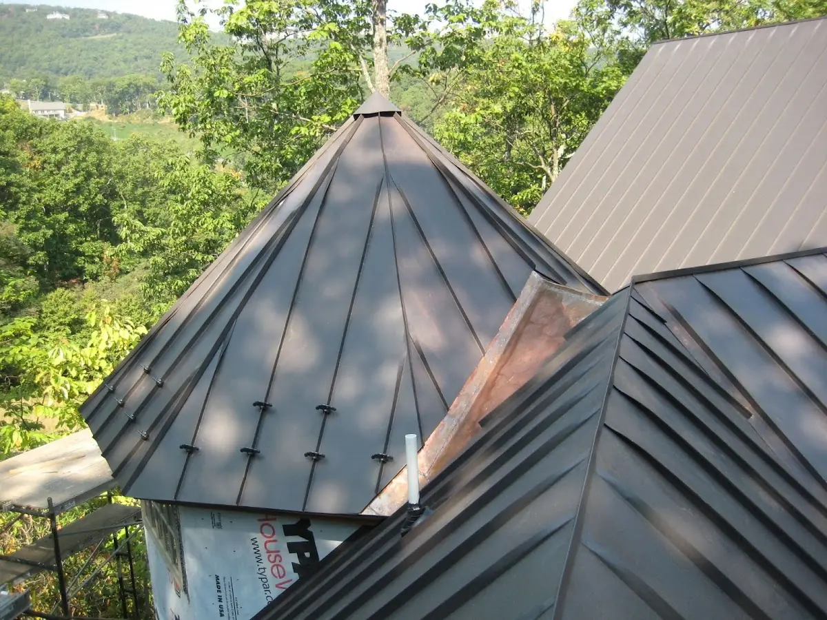 Professional Gutter Cleaning by Craftsman Roofing in South San Francisco